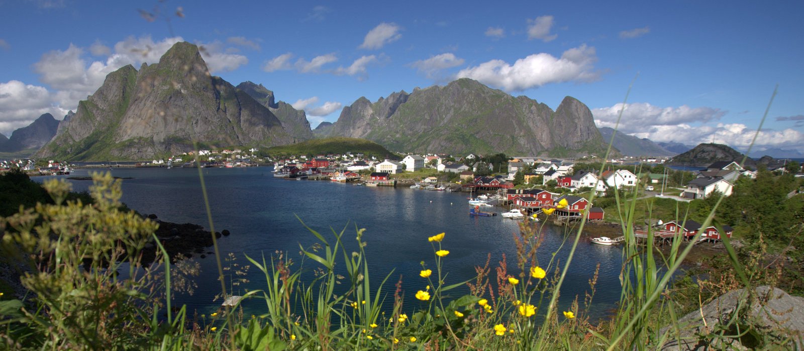 Reine