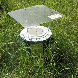 Perhoset ja kukat Vallisaari Perhoset ja kukat Vallisaari