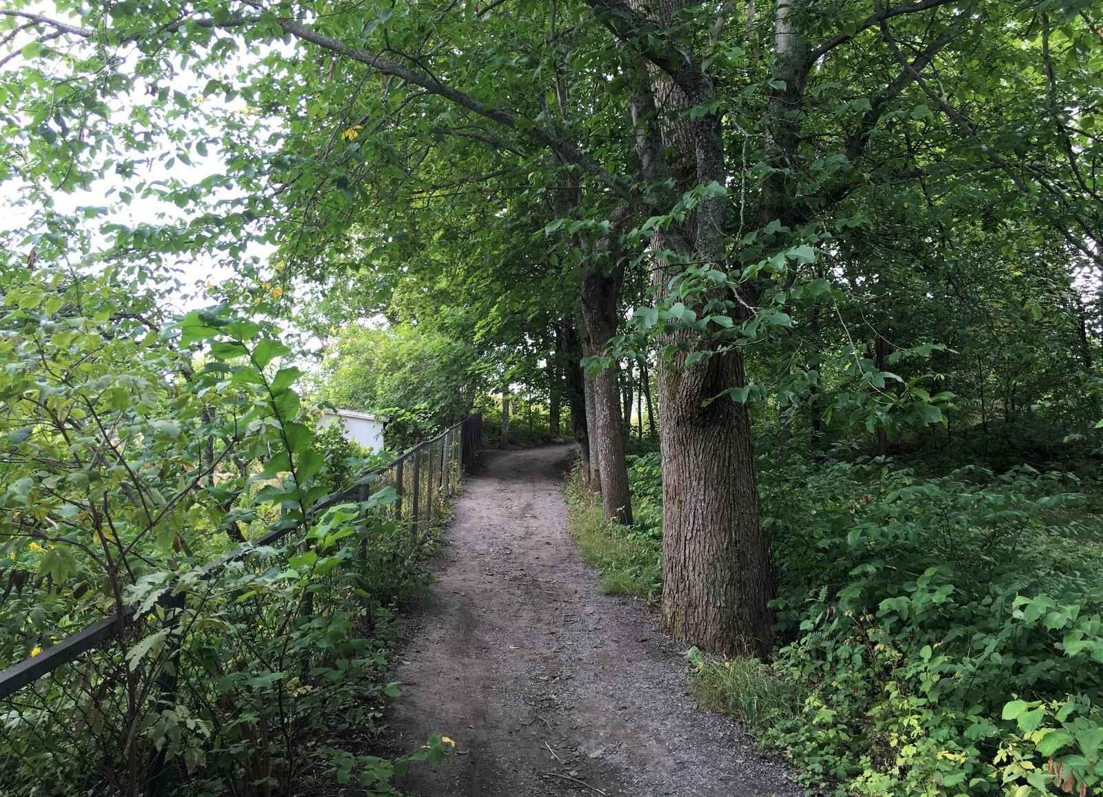 Rakkauden polku Naantali Rakkauden polku Naantali