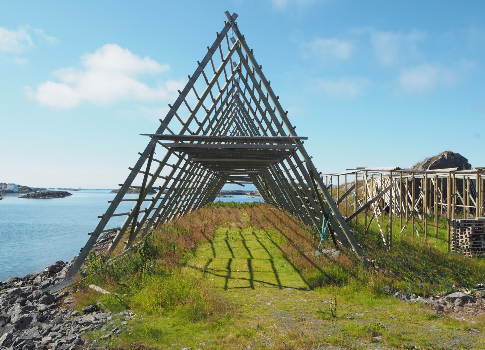 Kalankuivatustelineitä heinäkuussa Lofooteilla