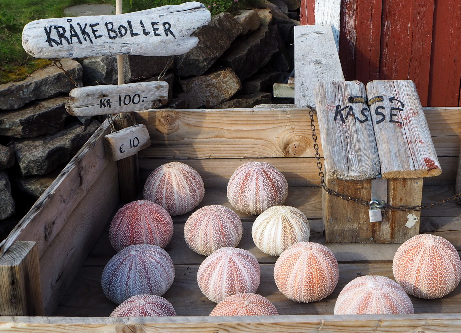 Henningsvaer Lofootit