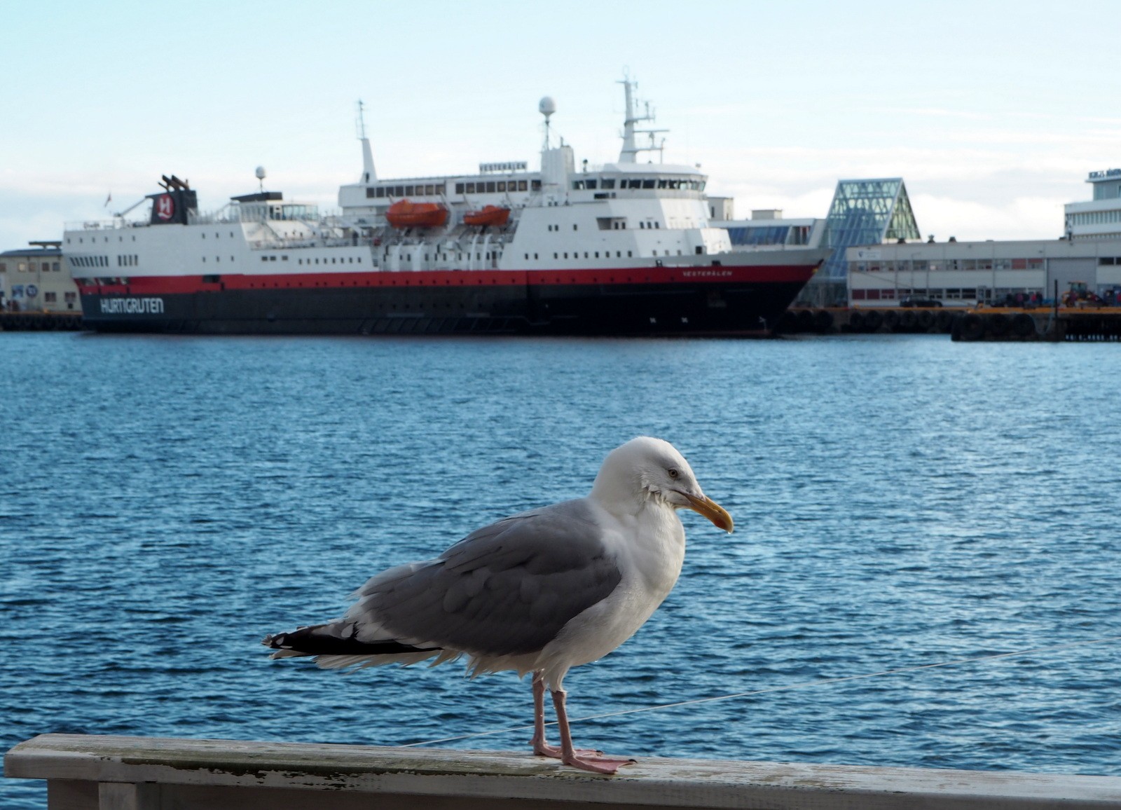 Svolvaer Hurtigruten