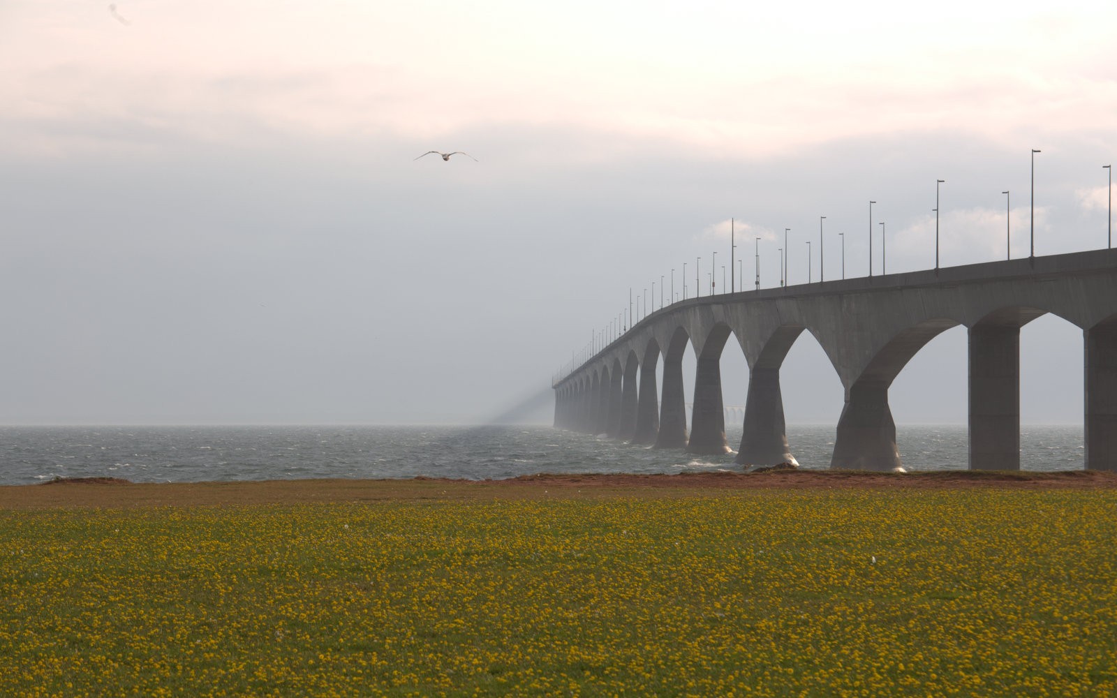 Confederation Bridge