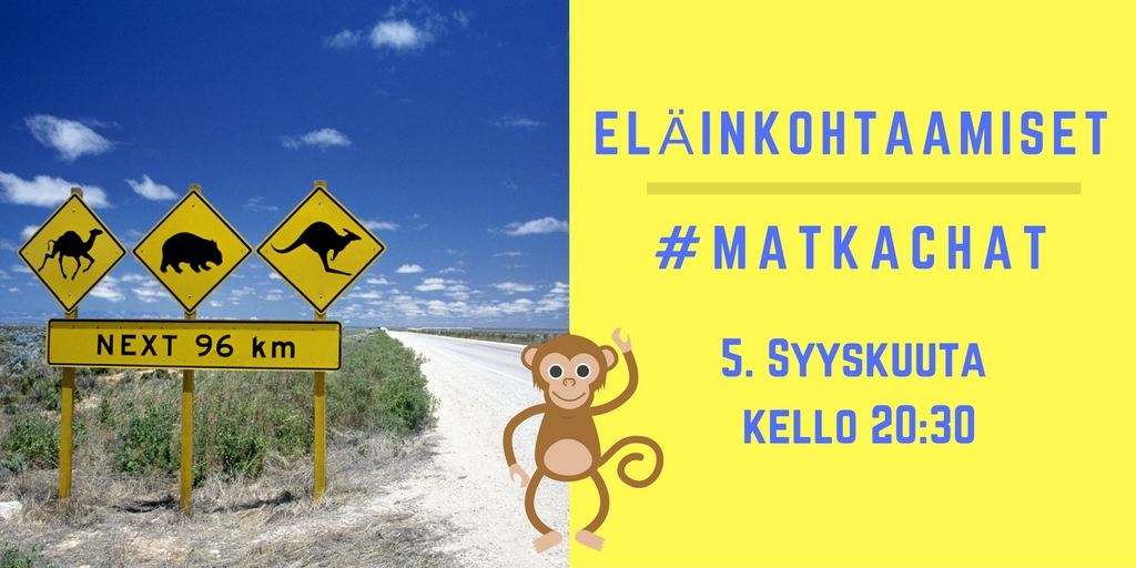 Matkachat eläimet Matkachat eläimet