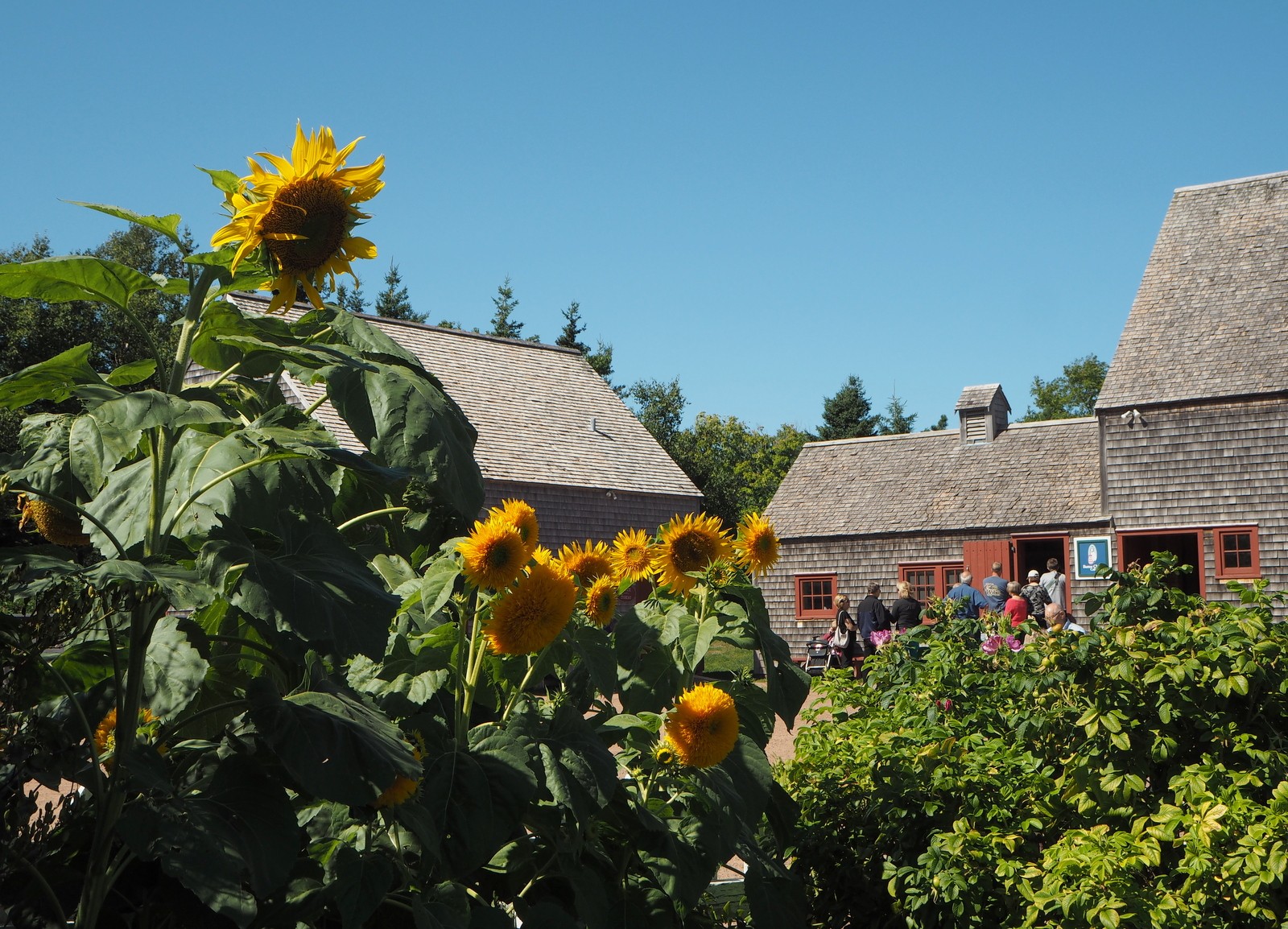Anne of Green Gables Prince Edward Island
