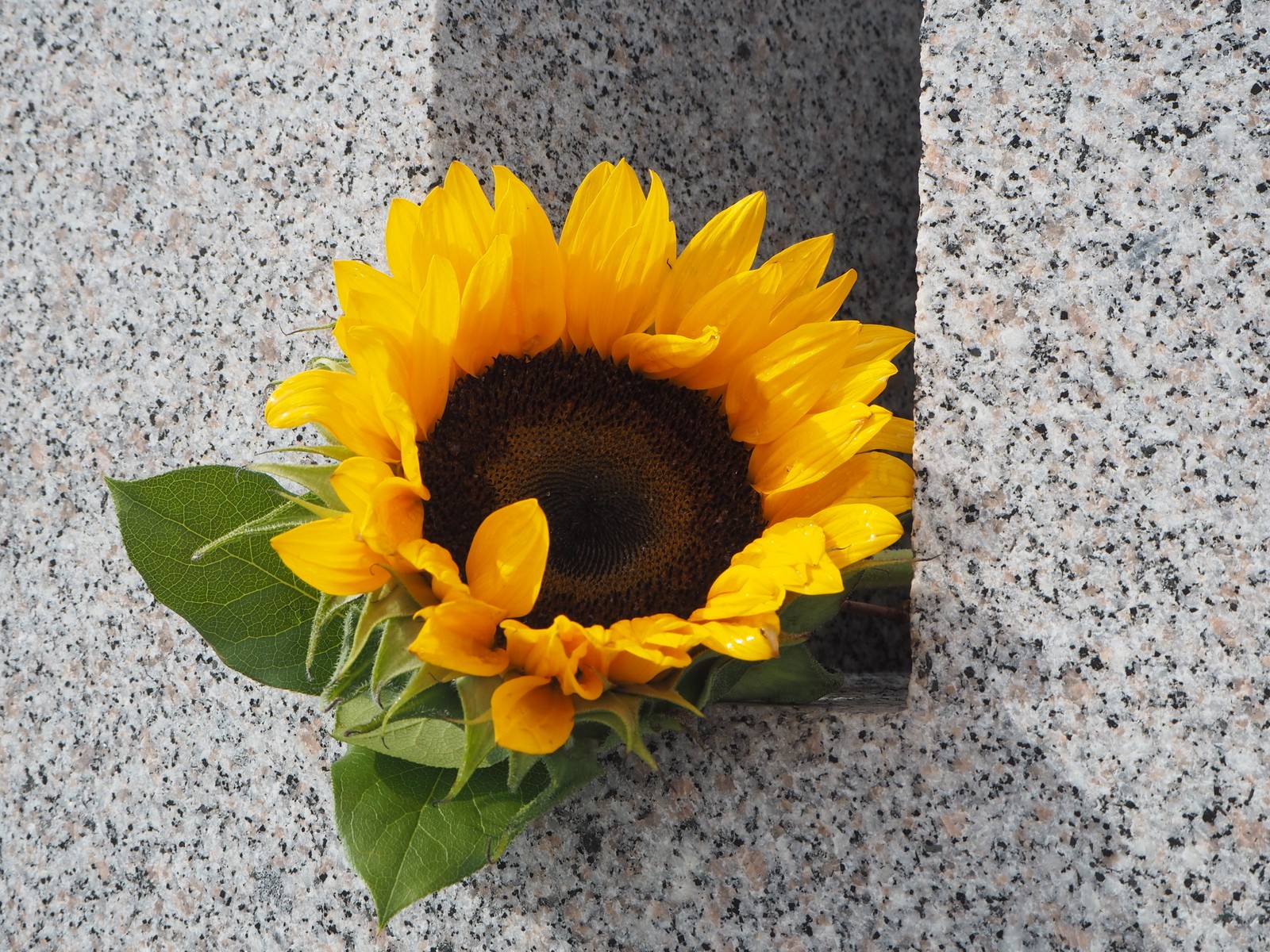 Swissair 111 Memorial