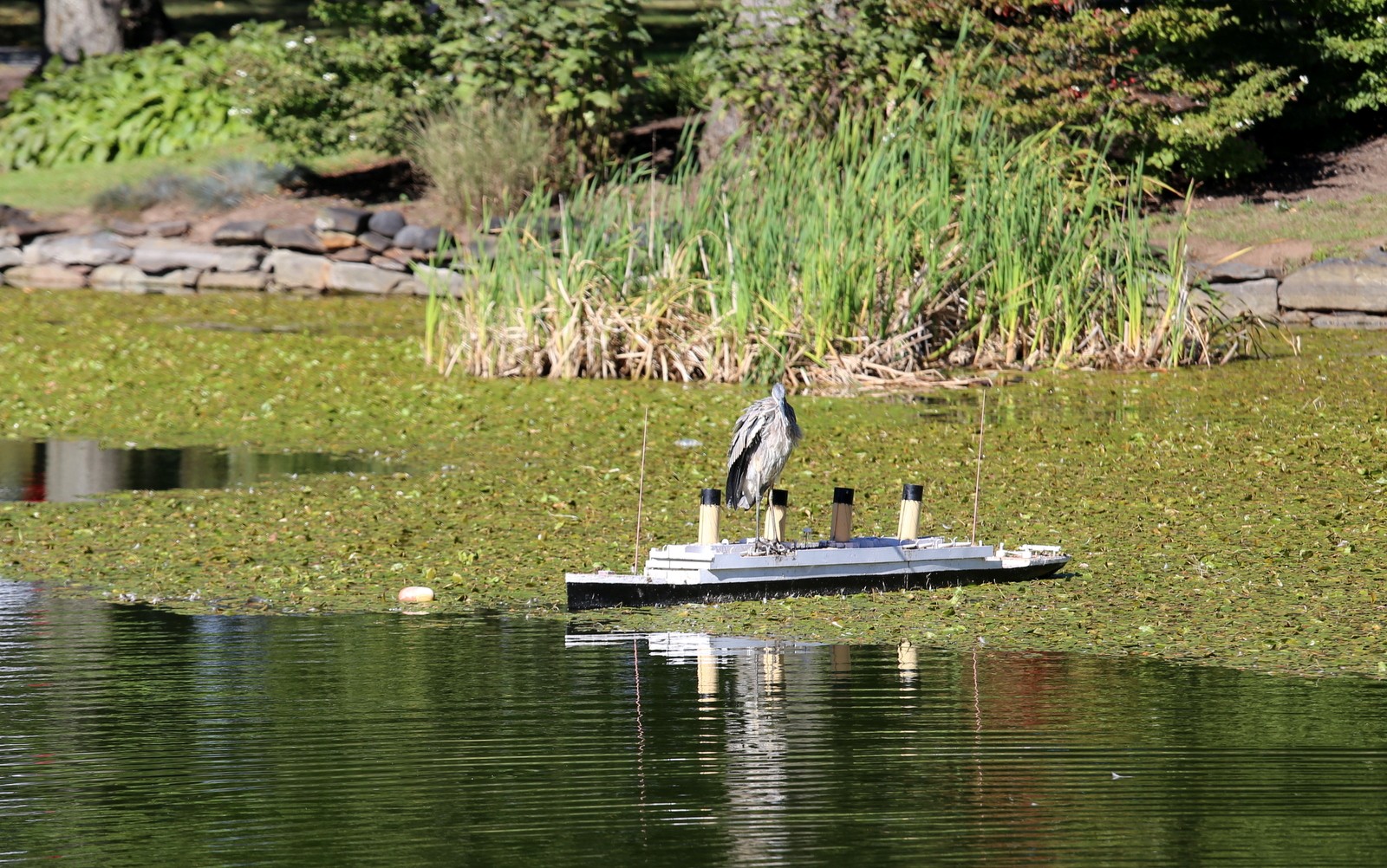 Halifax Public Garden Titanic
