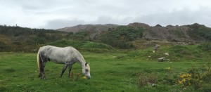 Saint-Pierre et Miquelon
