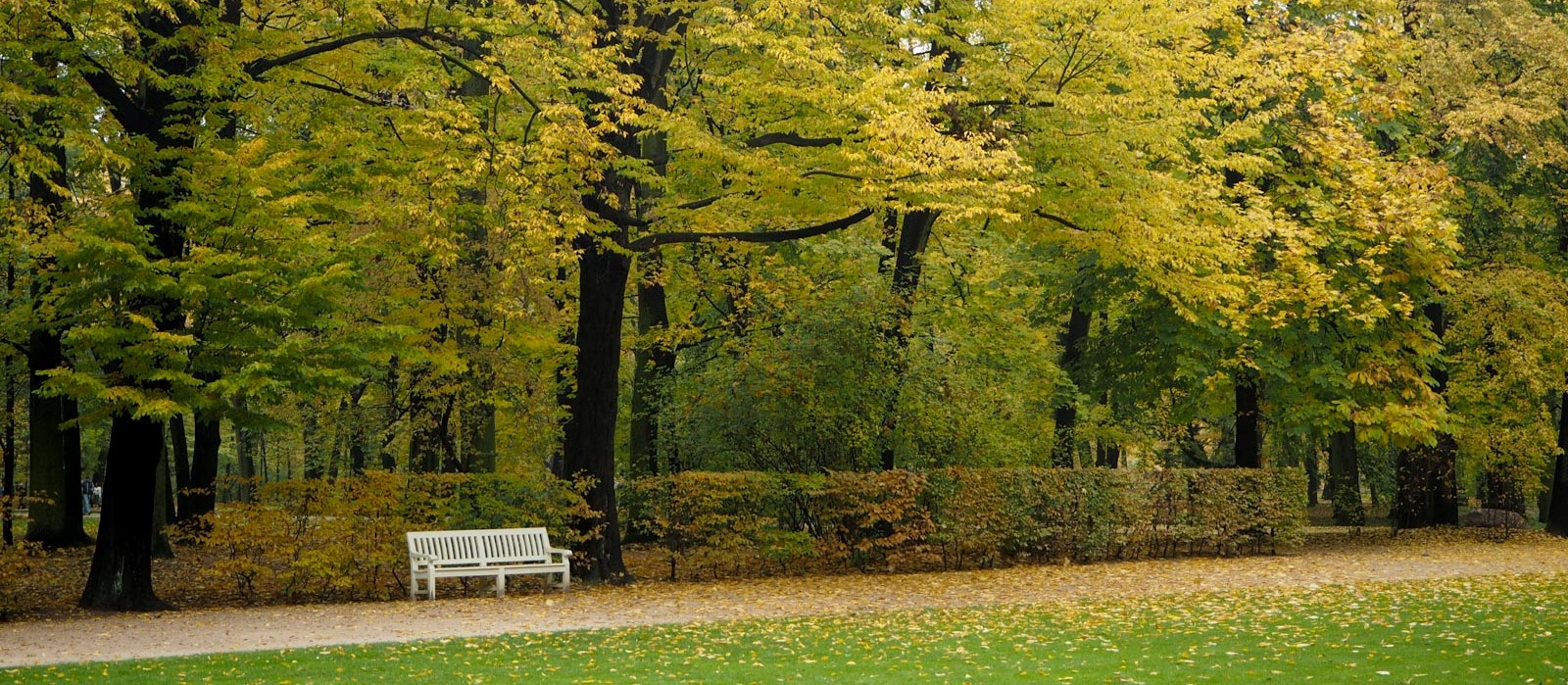 Warsaw Lazienki feature