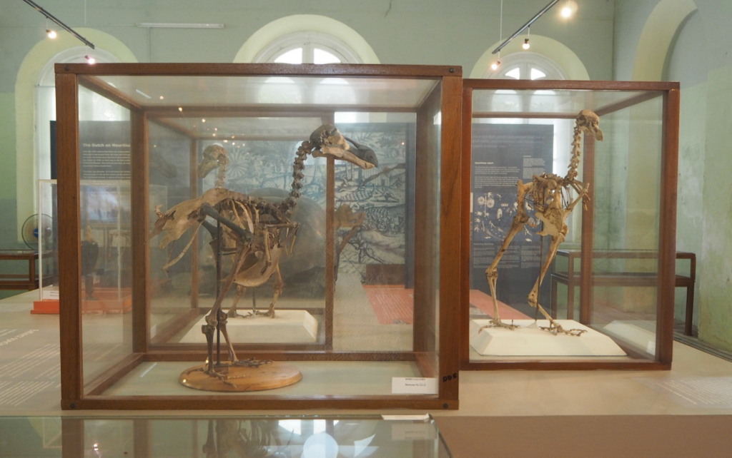 Mauritius 1 Mauritius 1