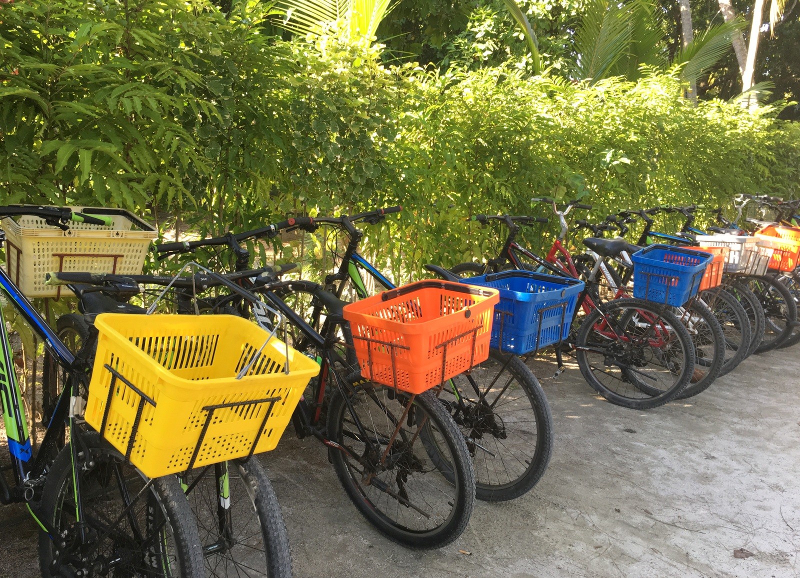 La Digue, Seychellit