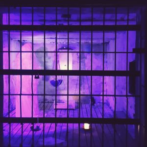 Lapinlahden kammio Lapinlahden kammio