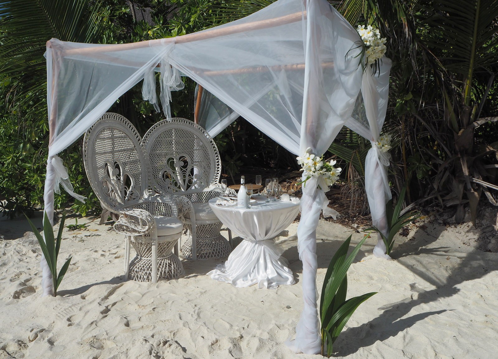 La Digue, Seychellit