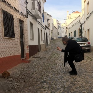 Tavira cat
