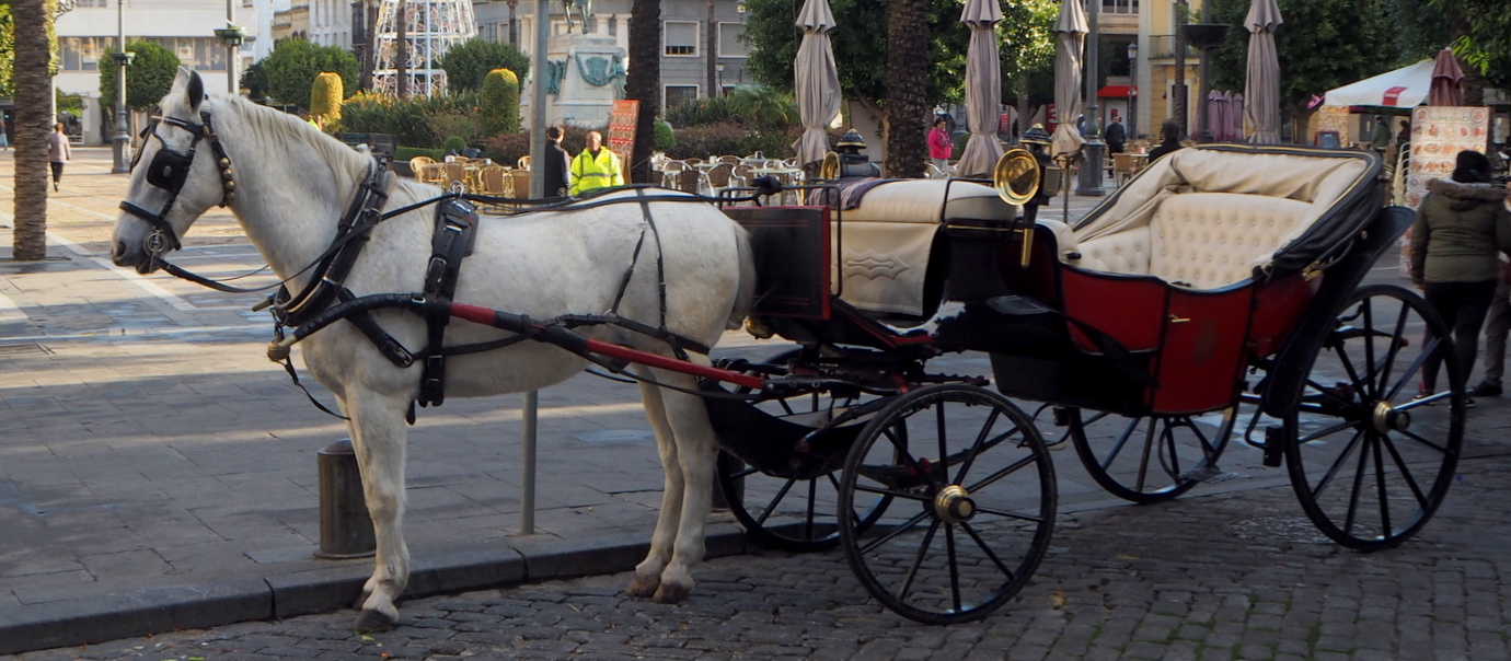 Jerez de la Frontera