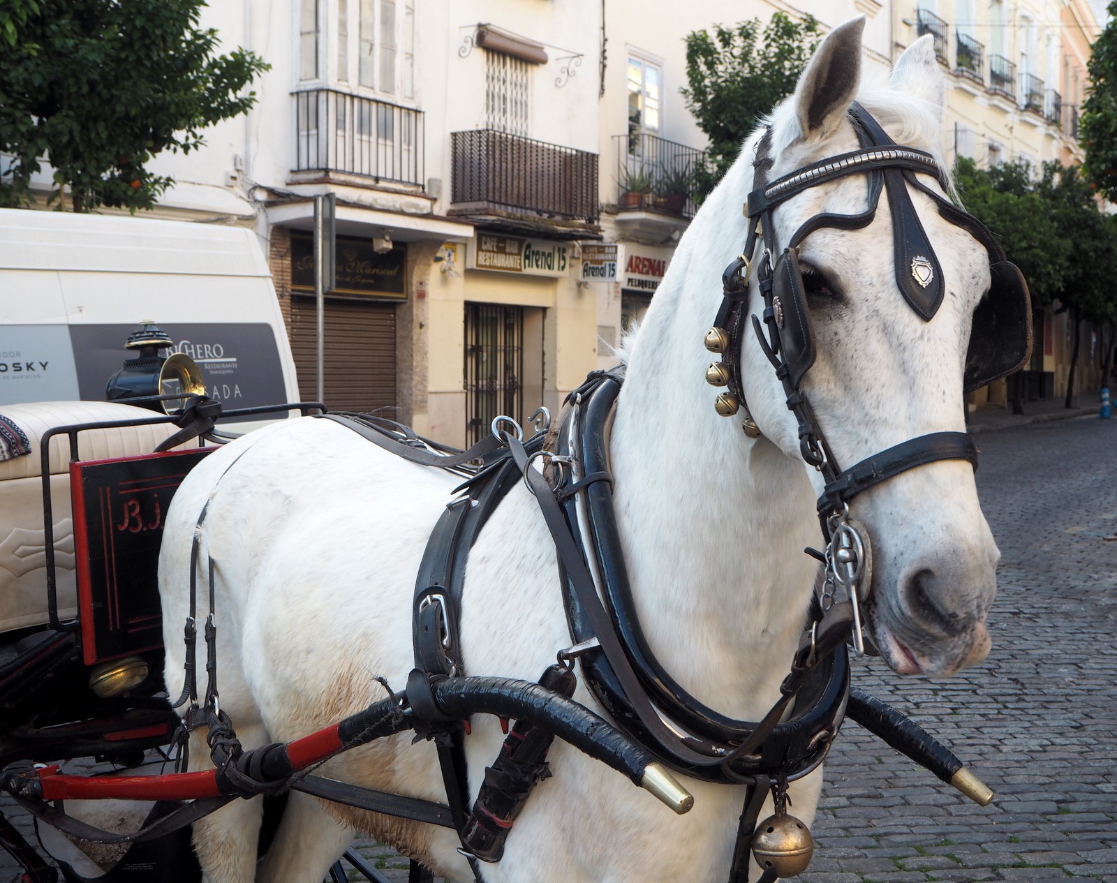 Jerez de la Frontera