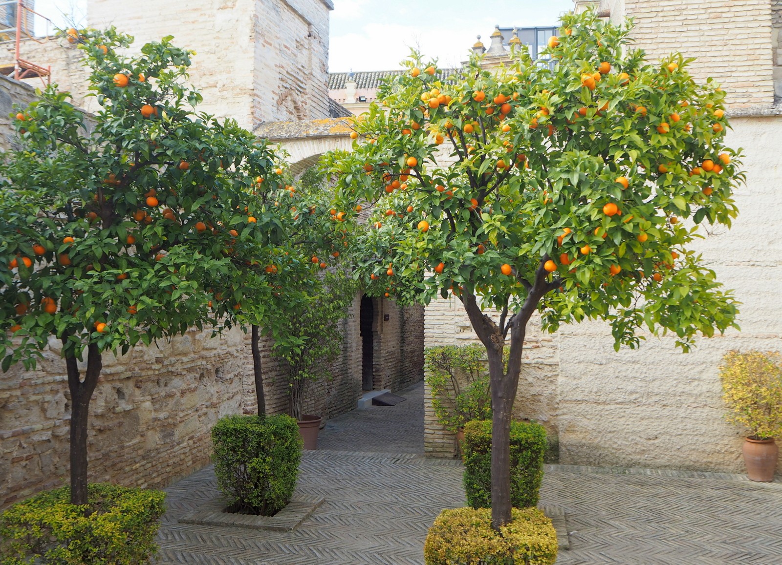 Jerez de la Frontera linnoitus