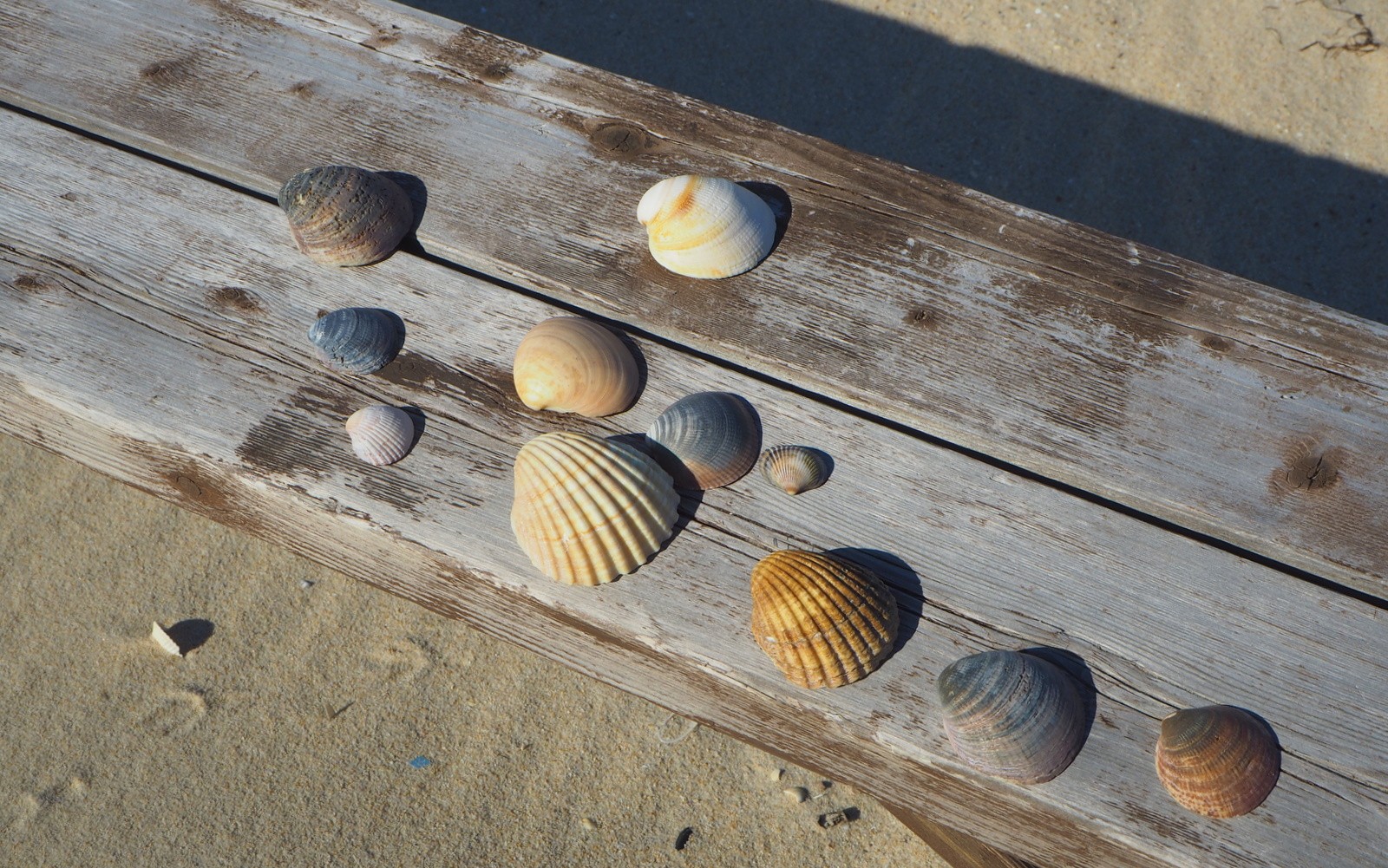 Tavira Island Ilha de Tavira