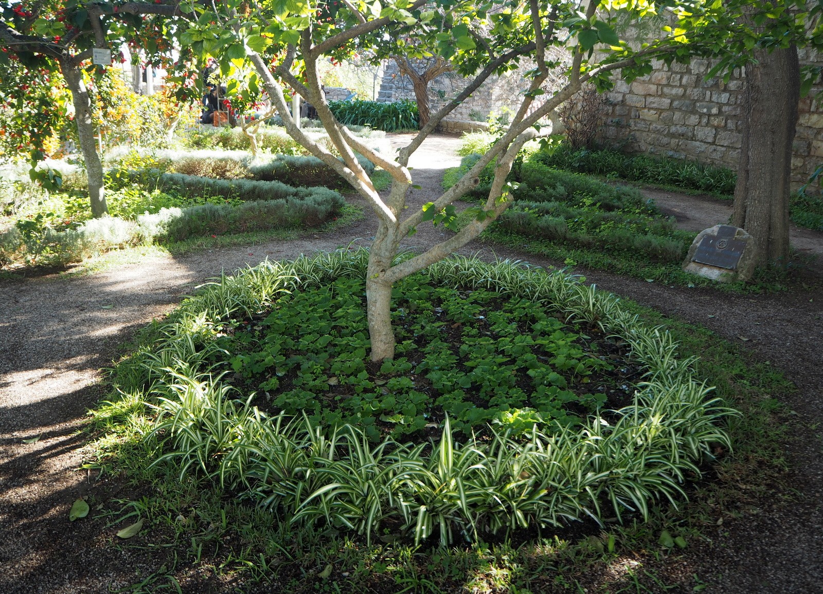 Tavira in January Castle