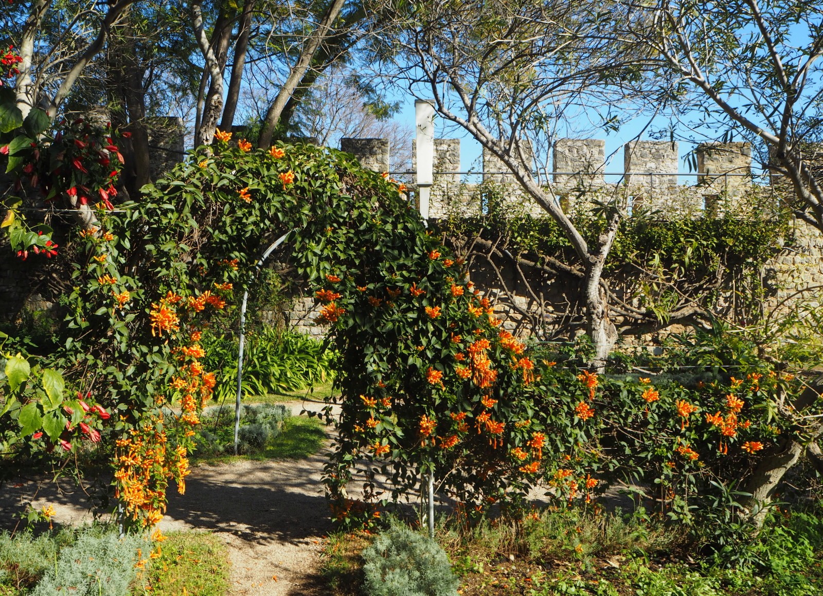 Tavira in January Castle