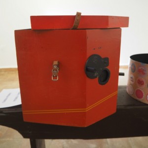 Tavira neulansilmäkameroita