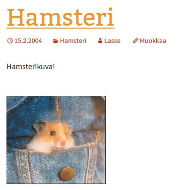 Ensimmäinen juttu Meriharakka-blogissa