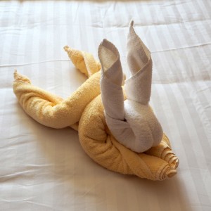 Costa neoRomantica pyyhe-eläin