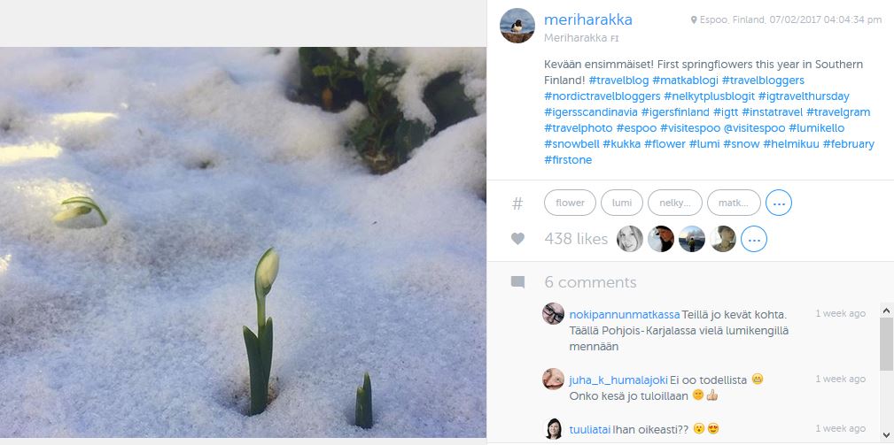 kevätkukka 2017