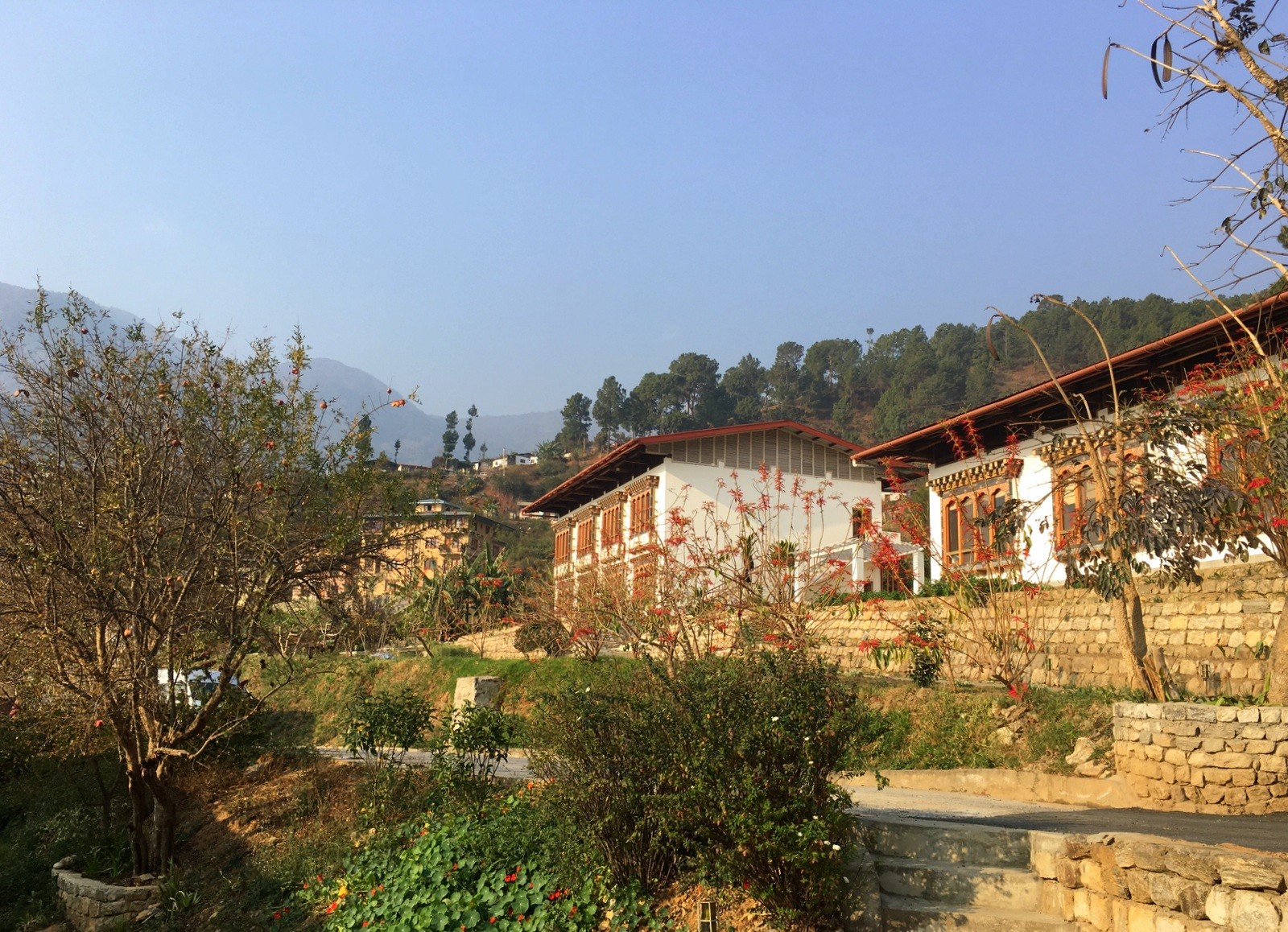 Hotel Punakha