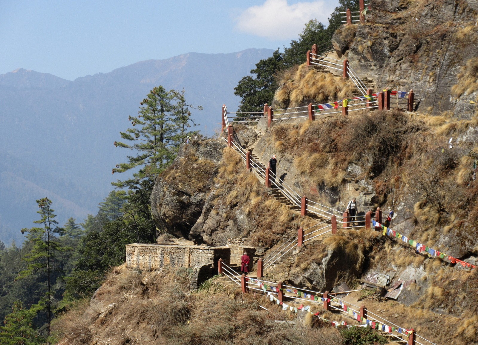 Tiikerinpesä portaita