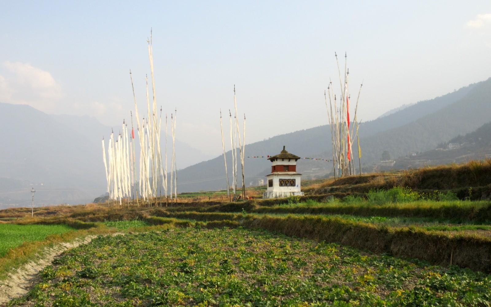 Punakha