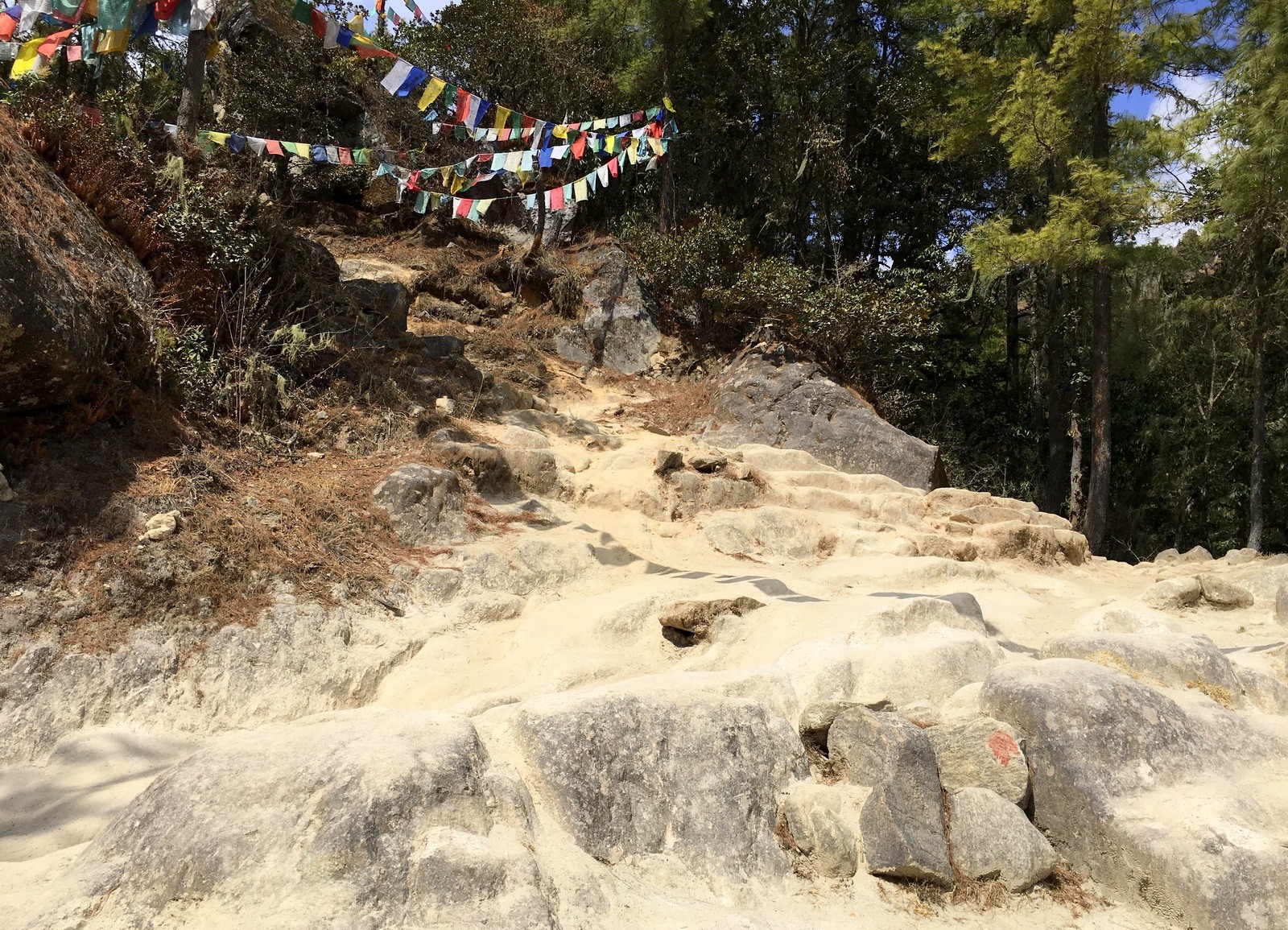 Tiikerinpesä Tiger's Nest polkua