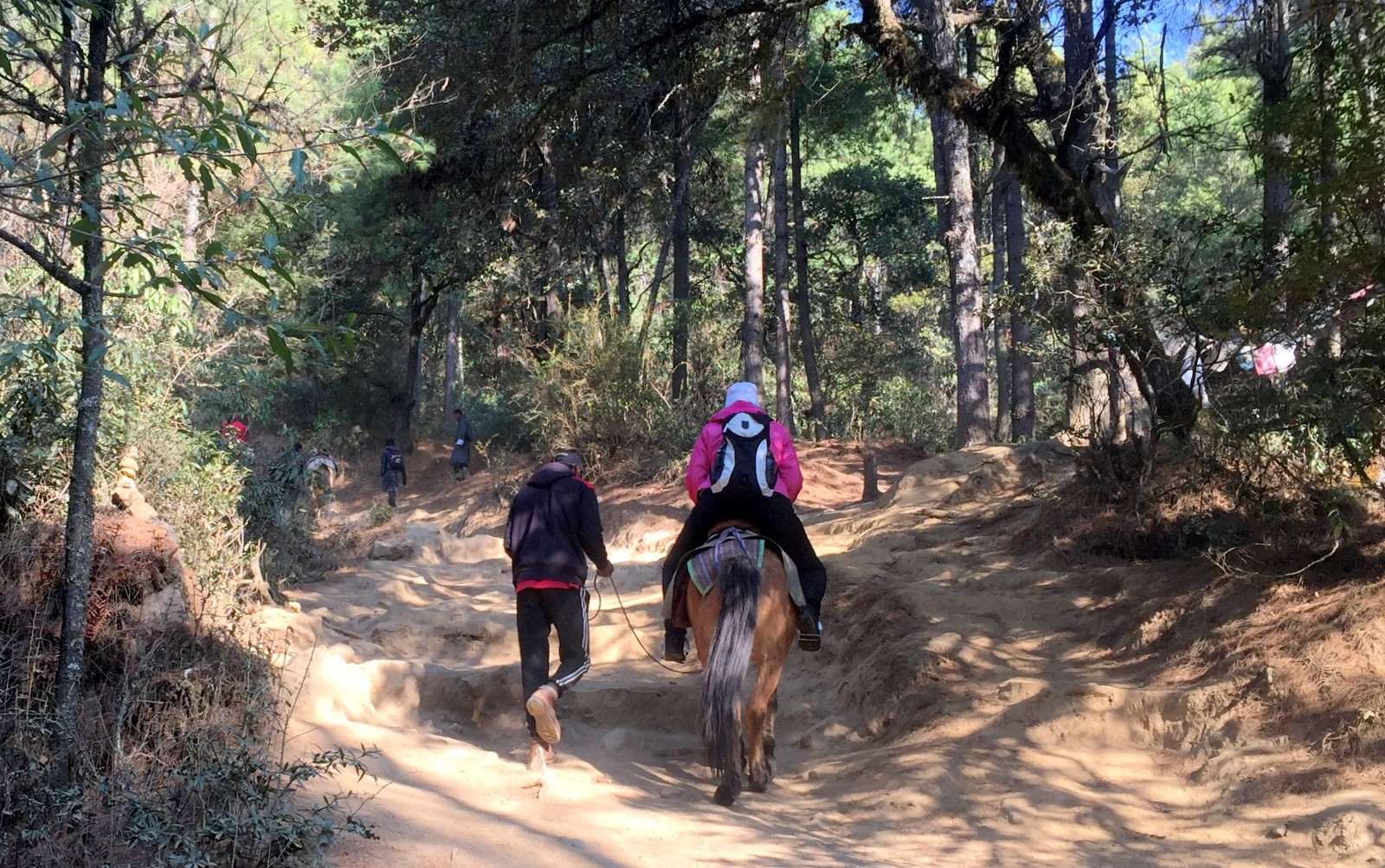 Tiikerinpesä Tiger's Nest horseback