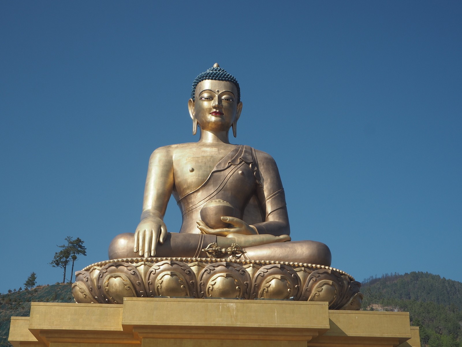 Thimphu buddha norsu