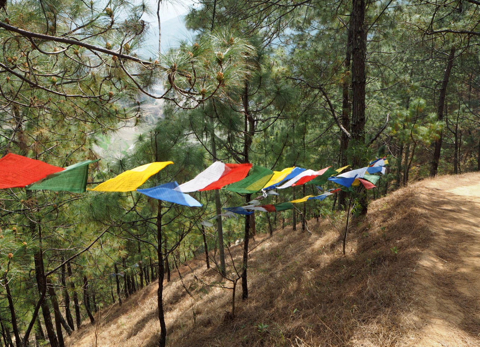 Punakha harjoitusvaellus