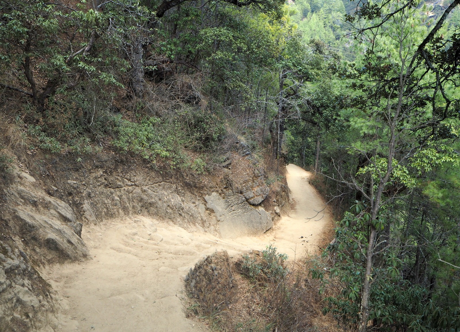Tiikerinpesä Tiger's Nest polkua