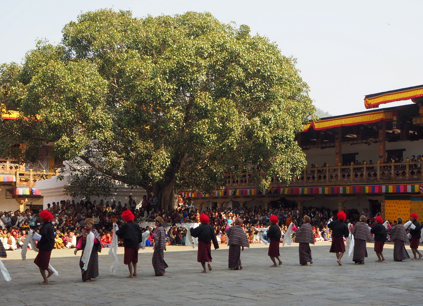 Punakha tansseja