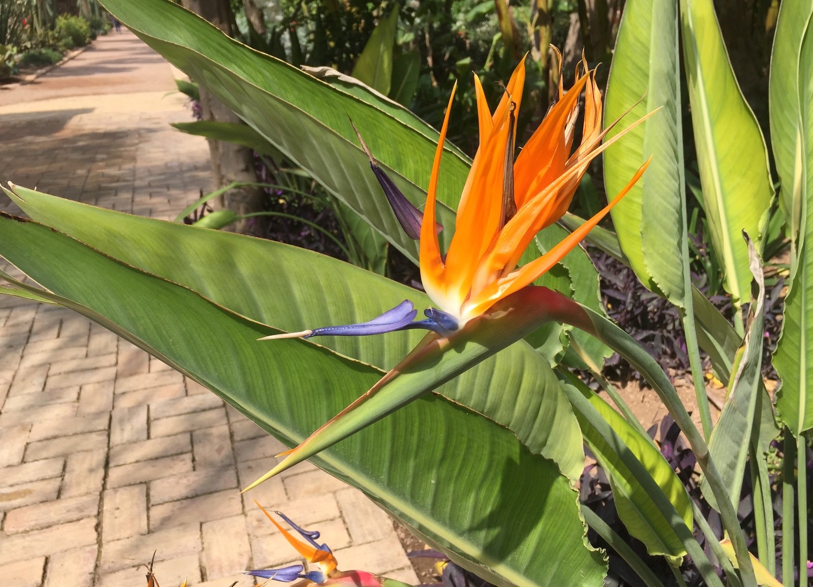 La Mamounia Marrakesh