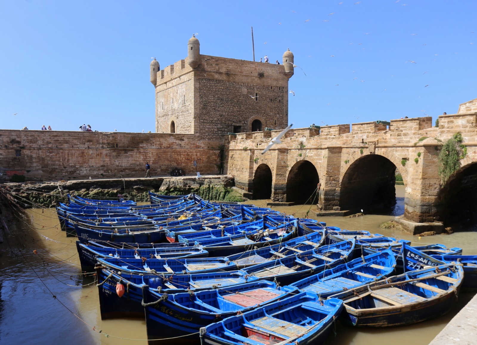 Essaouira Marokko