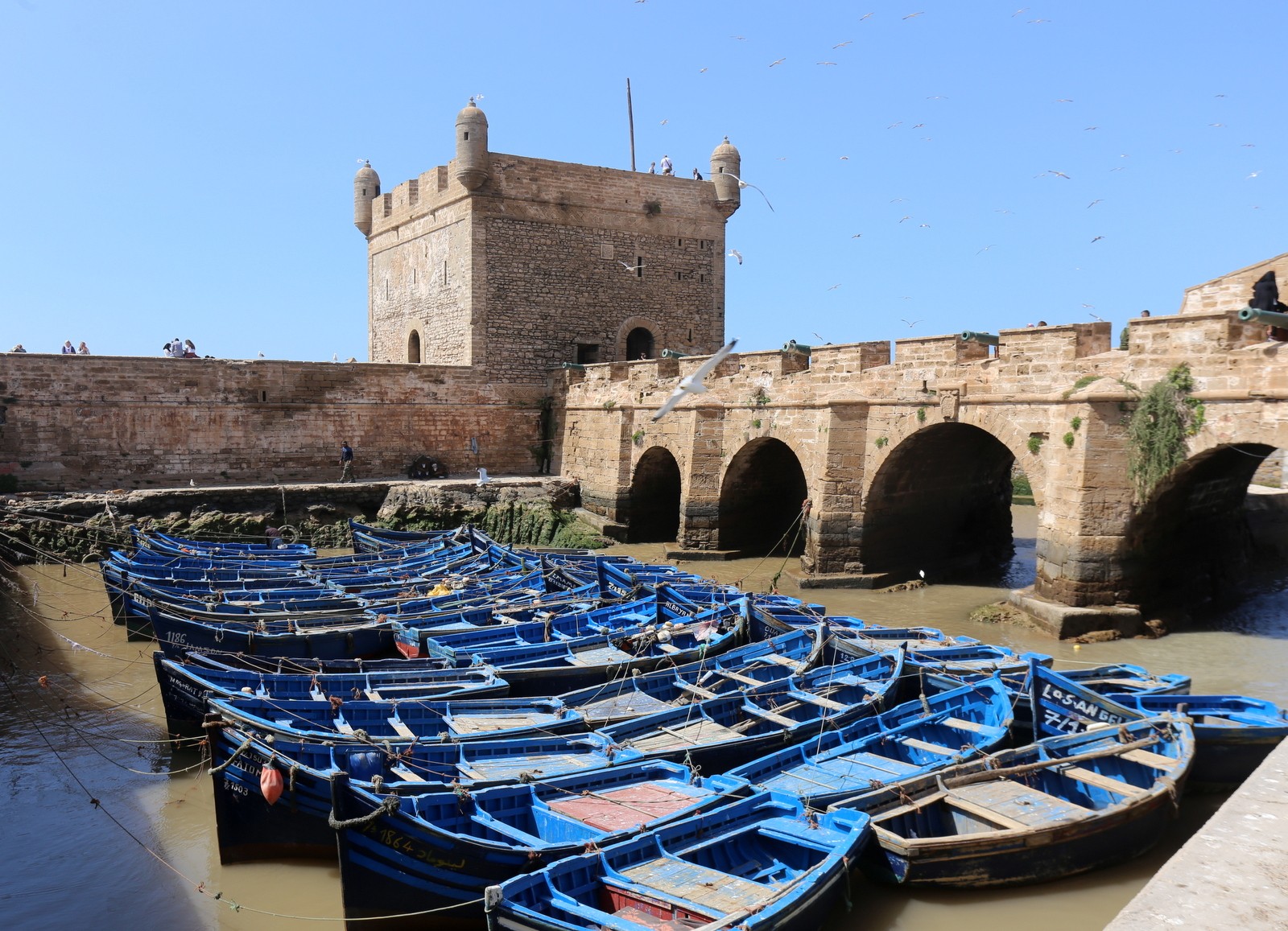 Essaouiran kalastasatama