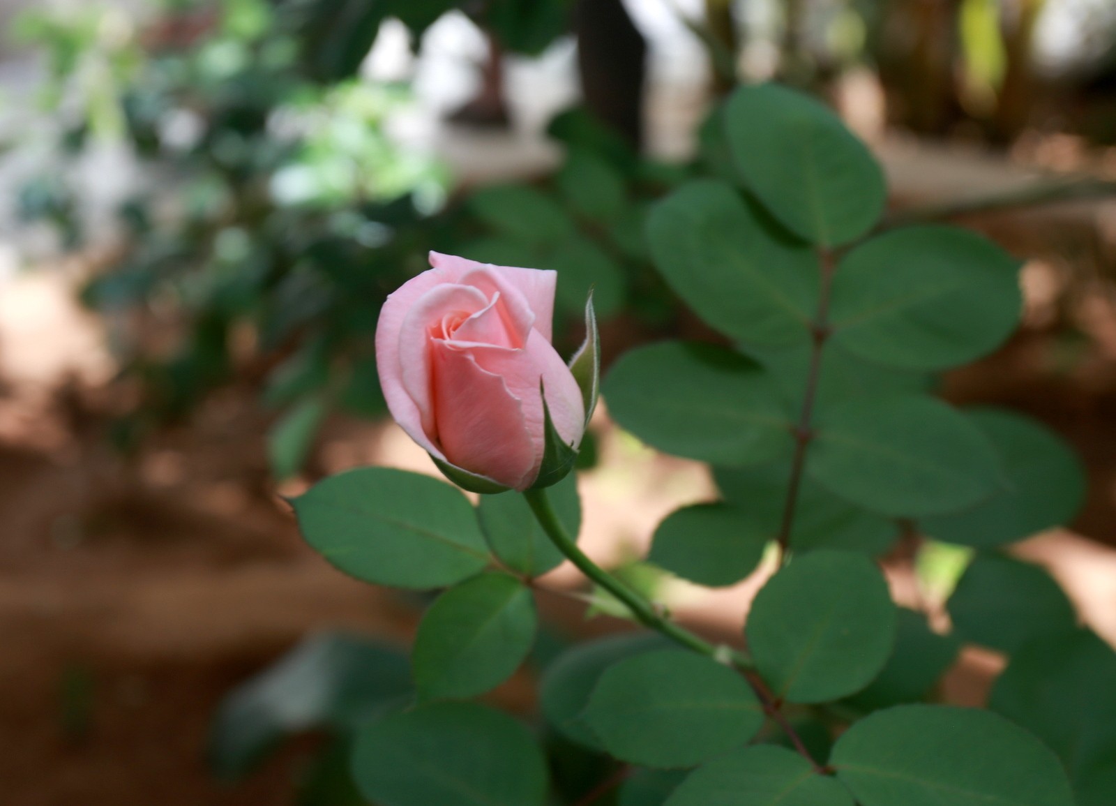 Bahia Palace Marrakesh