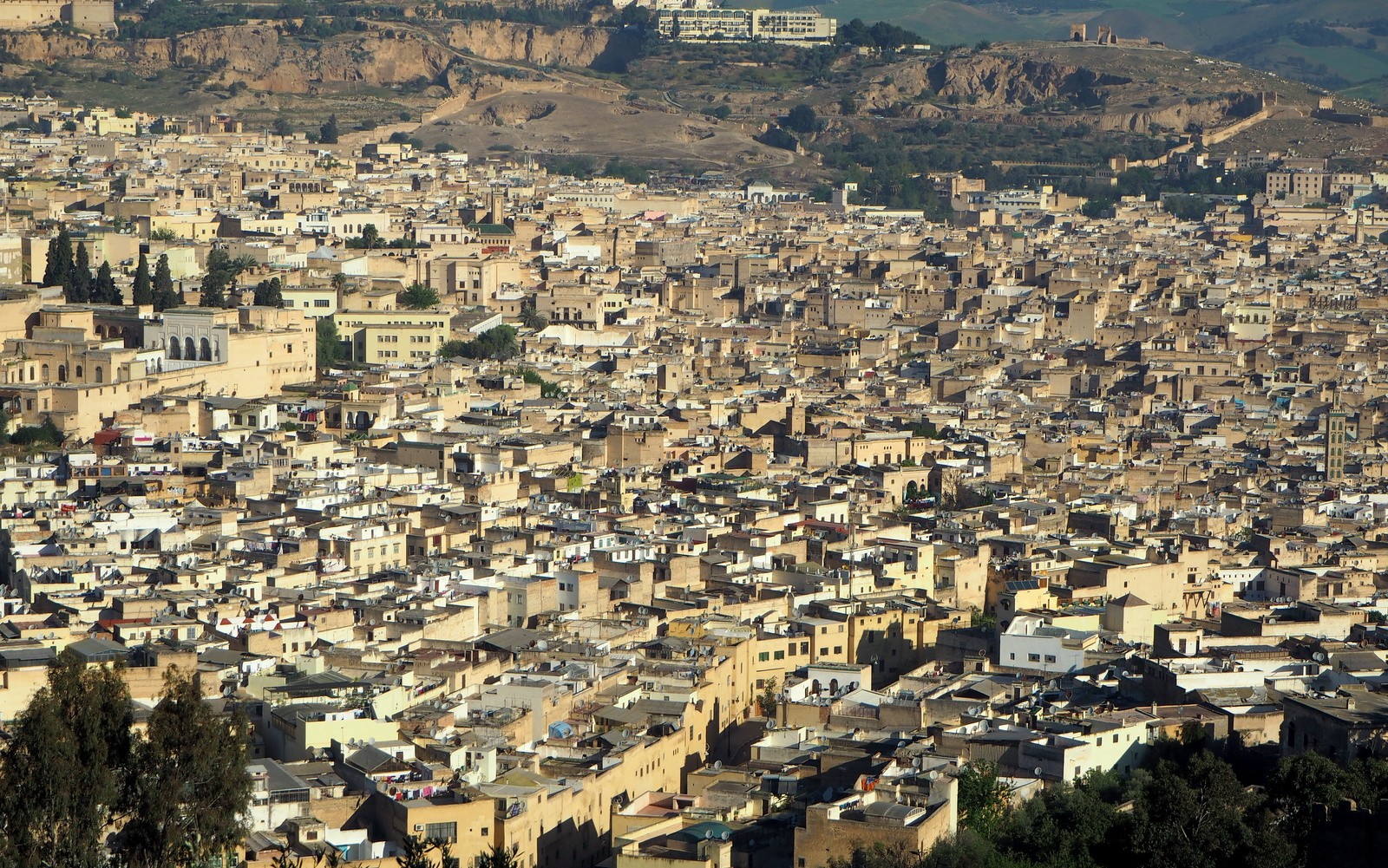 Fes Medina