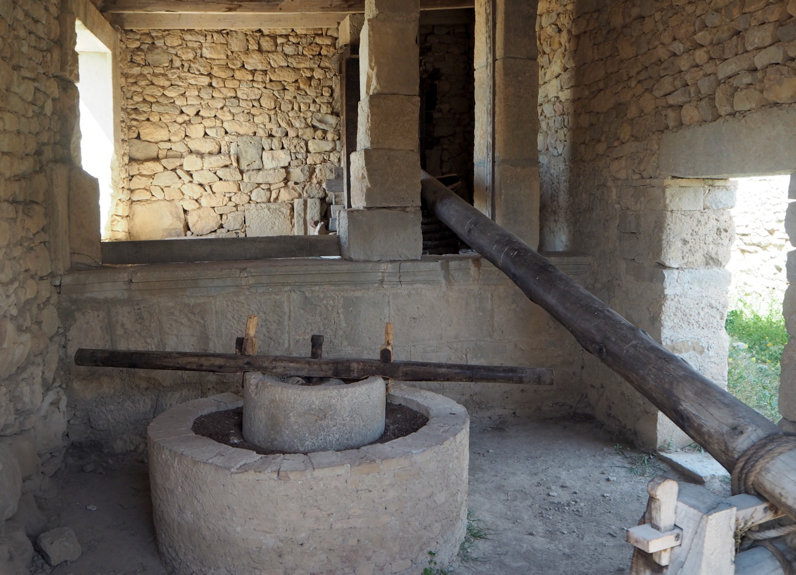 Volubilis oliivinviljely