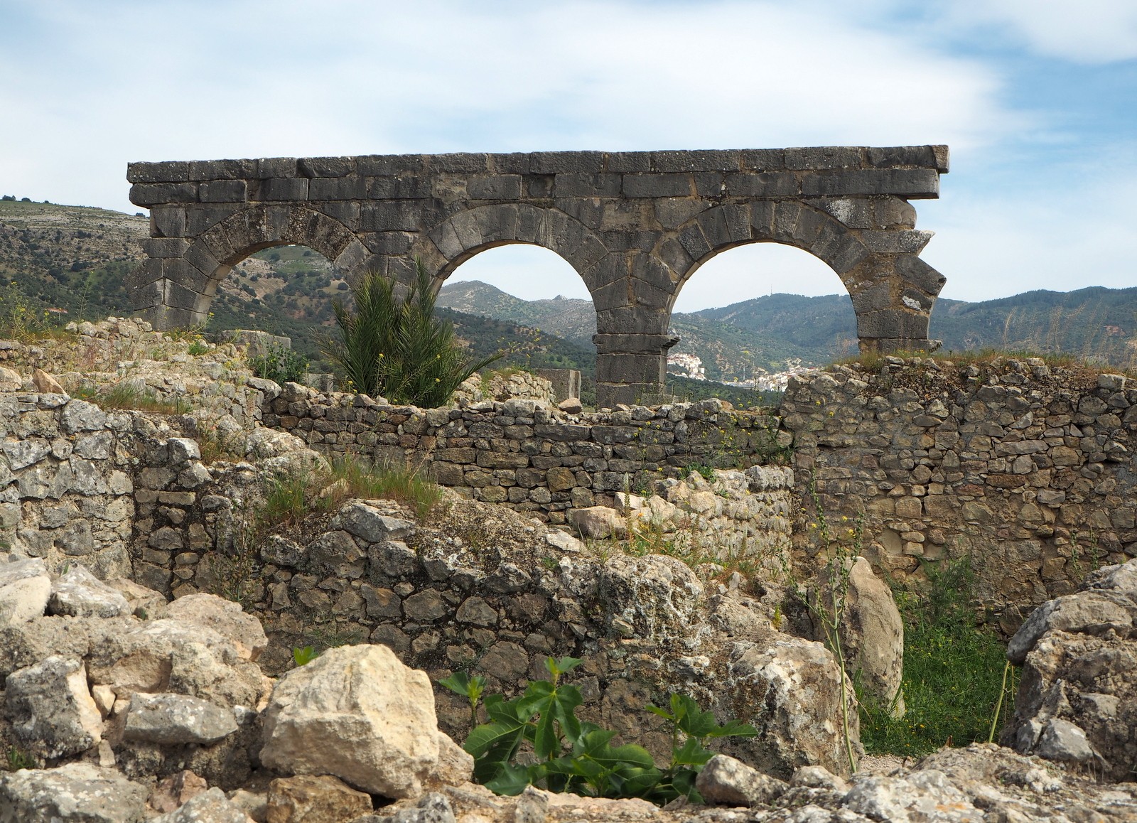 Volubilis