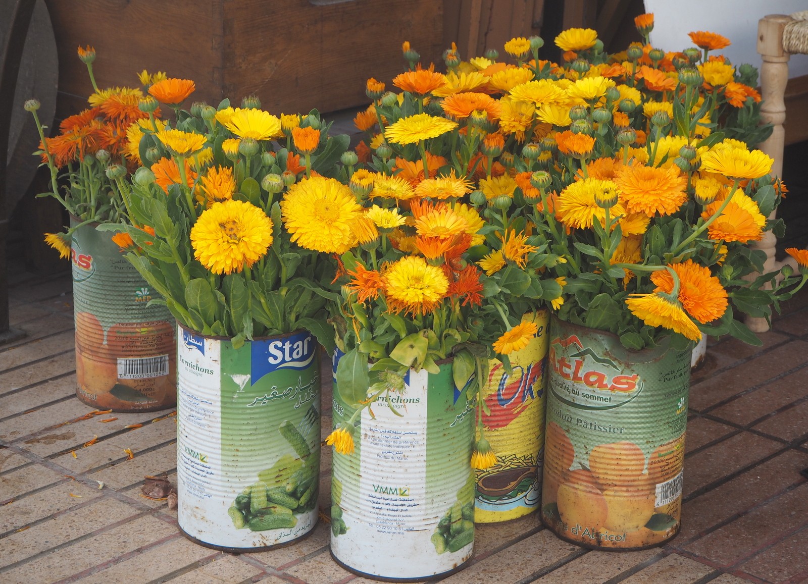 Casablanca fish market