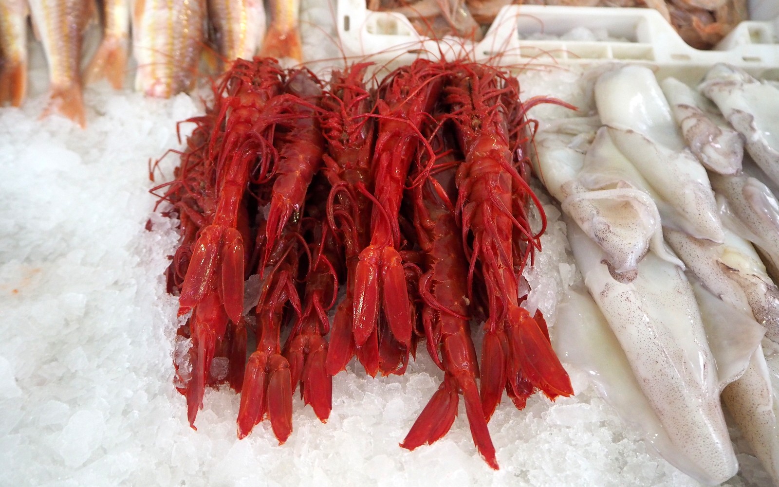 Casablanca fish market