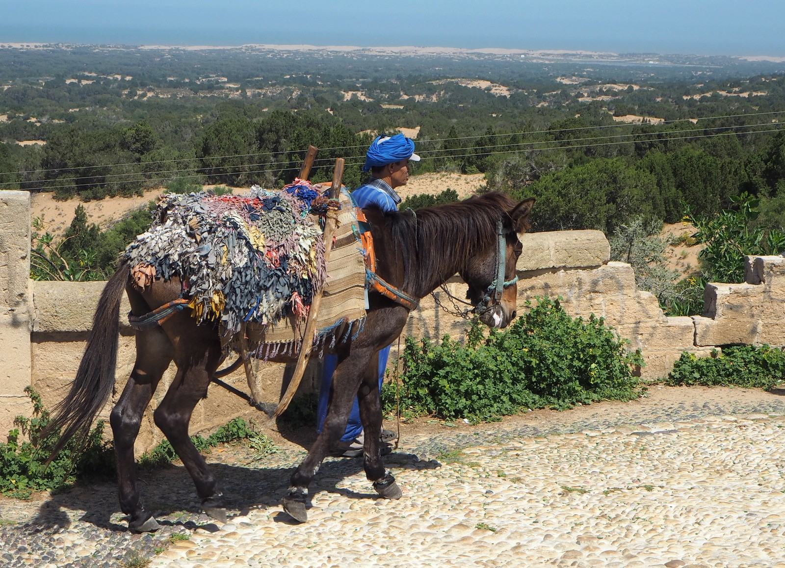 Essaouira näköala Mogador