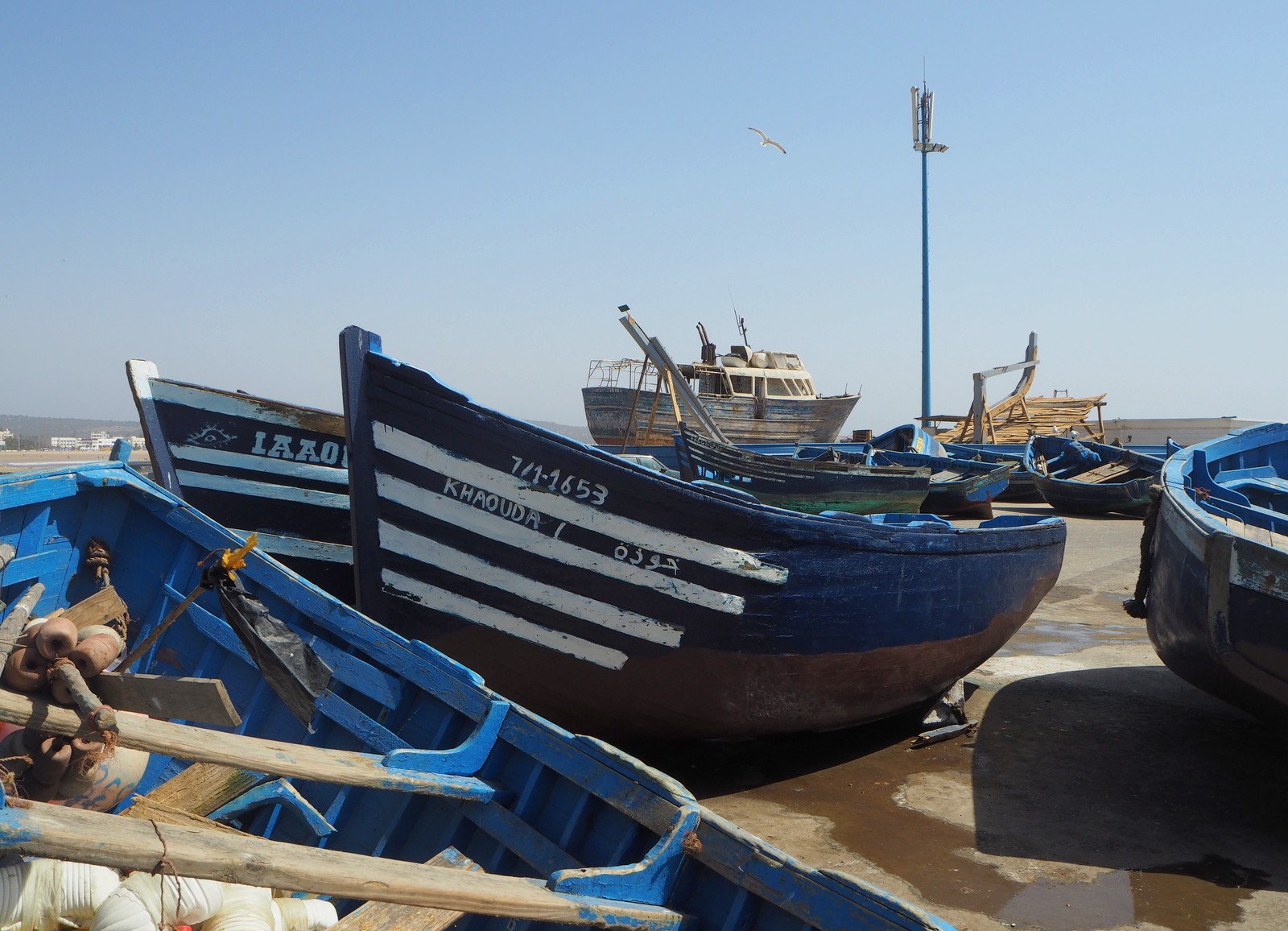 Essaouira Marokko