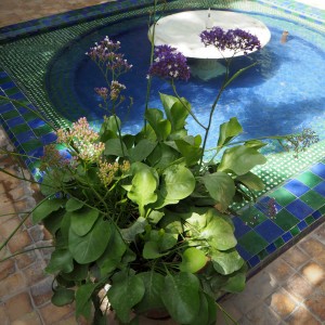 Jardin Majorelle Marrakesh