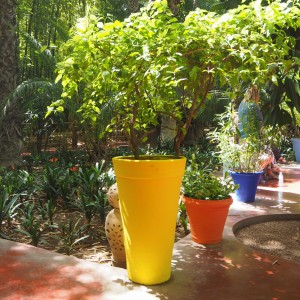 Jardin Majorelle Marrakesh